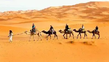 Cameltrek and sunset in the desert – 1 night in Erg Chebbi, with camelriding and sunset in the desert Cameltrek and sunset in the desert – 1 night in Erg Chebbi, with camelriding and sunset in the desert